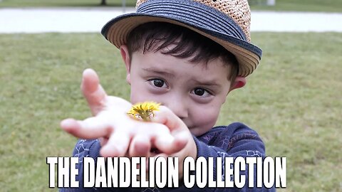 Dandelion Collection - Picking Flowers at the Park
