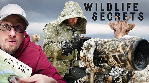 This Outdoor Creator Showed Me the Secrets to Capturing Wildlife (FT. @FoxandFir )