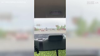 Condutor perde cama na estrada