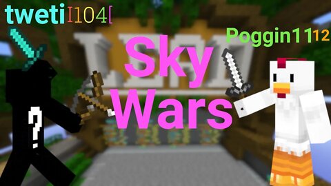 How I Played Skywars With A Leader Board Player