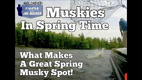 The BEST Spring MUSKY Spot!
