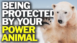 Being Protected by Your Power Animal