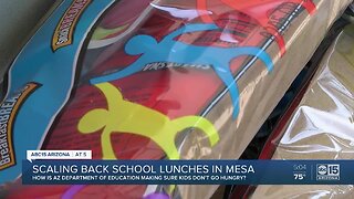 Scaling back school lunches in Arizona