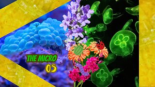 🔬🎶🌼 Micro Music Mystics: Unveiling Nature's Symphony in Miniature!🌟🔍 #microscope #plants