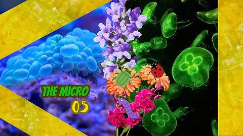 🔬🎶🌼 Micro Music Mystics: Unveiling Nature's Symphony in Miniature!🌟🔍 #microscope #plants