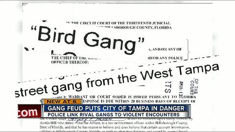 Gang feud puts City of Tampa in danger