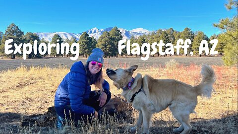Exploring Flagstaff, AZ while living out of my SUV with a Golden Retriever