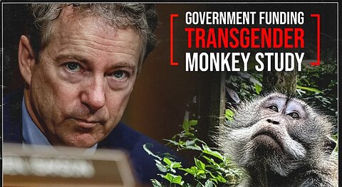 Transgender Monkeys Rand Pauls List of Grievances