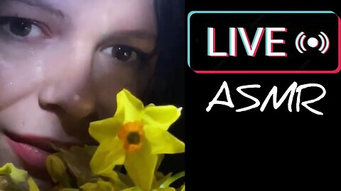 ASMR Live 62 🐣 Easter Special 🐣 Whispering, Lights 🐣 Face Brushing & more 🐣 Steffi ASMR #asmr