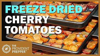 Food Storage: Freeze-Dried Cherry Tomato Snacks