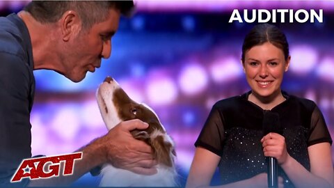 TOP 10 SMARTEST DOG Auditions On Britain And America's Got Talent!