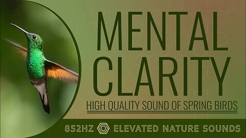 Mental Clarity Elevated 852Hz Pure Tone with HQ Sound Of Spring Birds