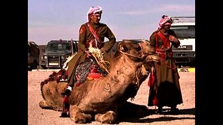 Police Camels