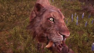 FARCRY PRIMAL Radom clips