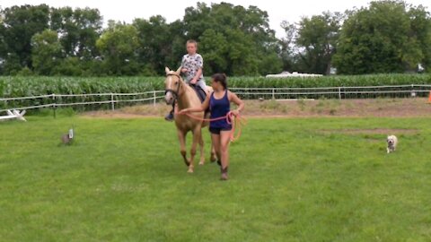 Connor trotting for the first time