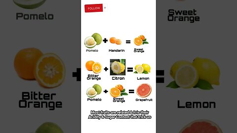 Fruit Diversity & Genetic Linkage #history #banana #orange #apple #melon #archaeology #healthy #eat