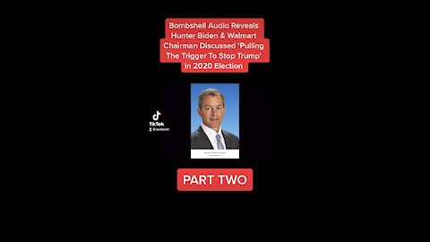 Bombshell Audio of Greg Penner, Chairman of Walmart & Hunter Biden from #laptopfromhell PT 2
