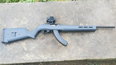 Ruger 10-22 22lr Rifle.