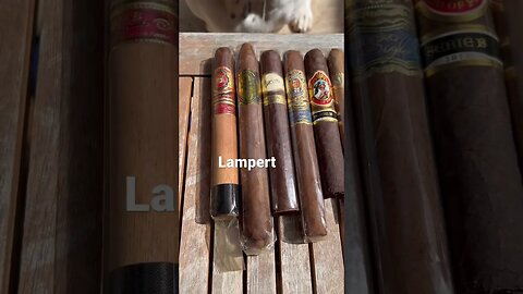 Which One Would YOU Drool Over The Most? #Cigar #Cigars #Dog #Drool #fyp #Luxury