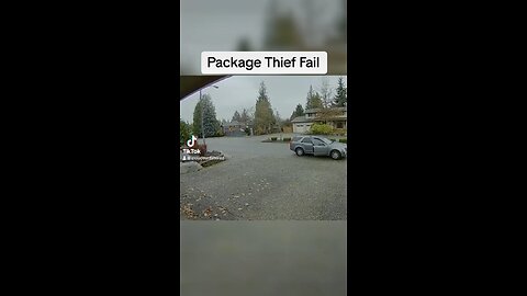 Package Thief Fail