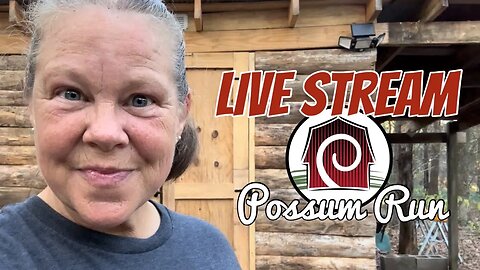 LIVE STREAM | Possum Run Homestead | Woman Builds Tiny House in the Woods ALONE