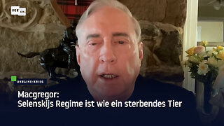 Macgregor: Selenskijs Regime ist wie ein sterbendes Tier