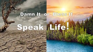 Damn It or Bless It: Speak Life!