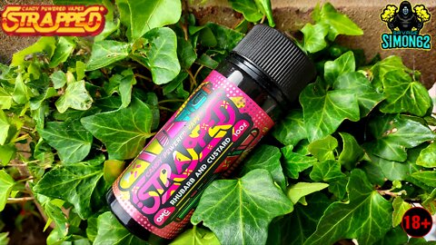 STRAPPED RHUBARB & CUSTARD E-LIQUID REVIEW 🔞 #strappedeliquid #ukeliquid #vape