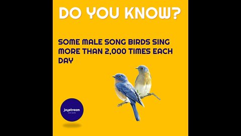 #44 Joyful Facts about birds and animals | Do you know? | Joy Stream