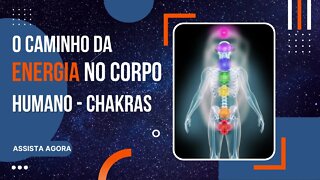 🟢 O CAMINHO DA ENERGIA NO CORPO HUMANO - CHAKRAS