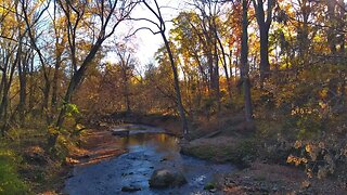 Relaxing Nature with Bird Sounds - Crickets - River White Noise