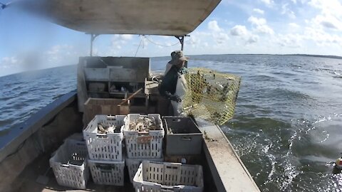 Crab fishing in the Gulf of Mexico part 2