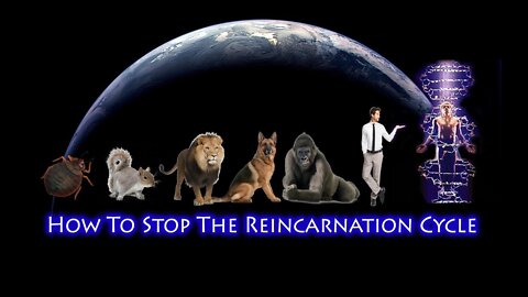 A Step by Step Guide on How to STOP Reincarnating