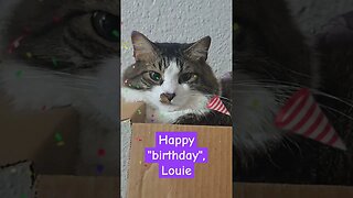 Happy Birthday, Louie!
