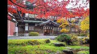 Beautiful Nikko Japan Day 1 Adventure