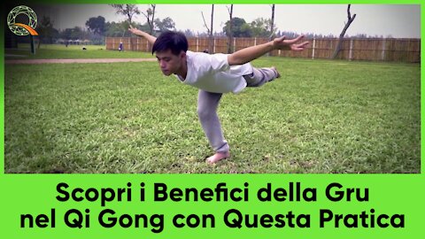 🐦 Scopri i Benefici della Gru nel Qi Gong con Questa Pratica