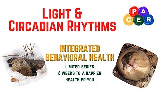 Circadian Rhythms and Light 6 Weeks to a Hapier Healthier You