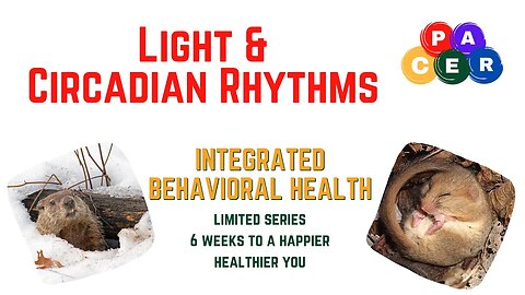 Circadian Rhythms and Light 6 Weeks to a Hapier Healthier You