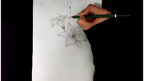 How To Draw Flowers Easy