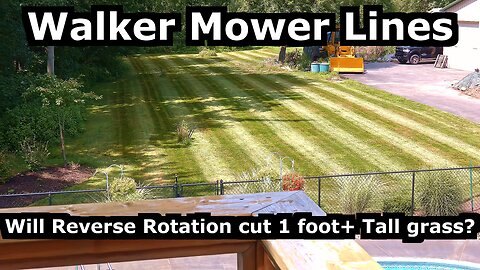 Perfect Walker Mower Lines! Will Reverse Rotation Cut Tall Grass? (Toad Man Tropicals)