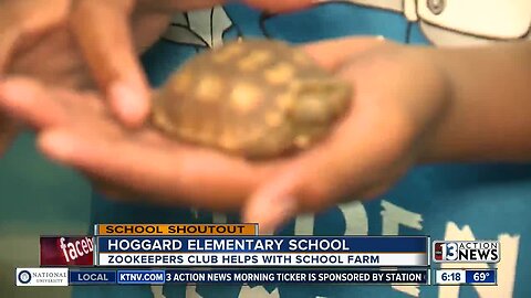 SCHOOL SHOUTOUT: Hoggard Elementary School (wednesday