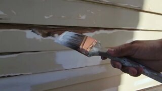 Spot Priming Using Sherwin Williams Exterior Latex Primer