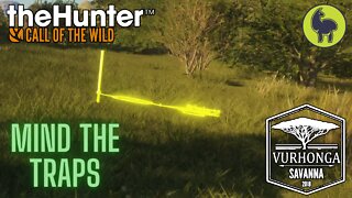 Mind the Traps, Vurhonga Savanna | theHunter: Call of the Wild (PS5 4K)