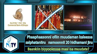ETHIOPIA:NESTTV: Phaaphaasonni ofiin muudaman kaleessa salphataniiru namoonnii 20 hidhamani jiru