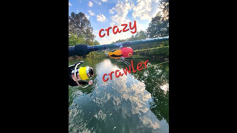 Crazy Crawler