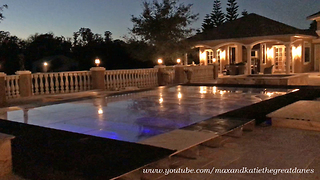 Great Danes Enjoy Casa Bella Estate Pool Feature at Sunset