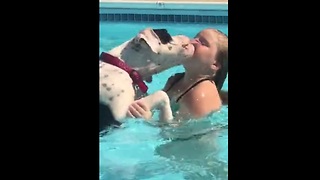 Dog acts as lifeguard, actively watches young swimmer