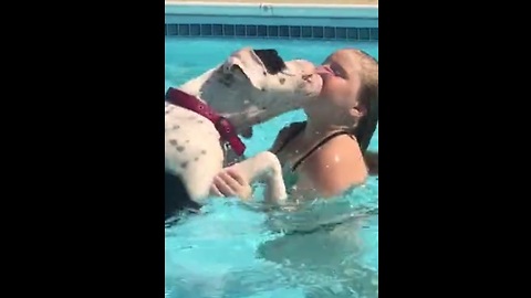 Dog acts as lifeguard, actively watches young swimmer