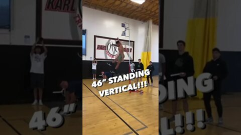 46" STANDING VERTICAL!!