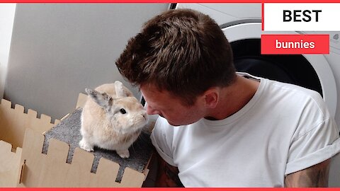 Meet the man who loves spending time with his best BUNNY